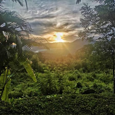 The Lookout Pai Hotel Luaran gambar