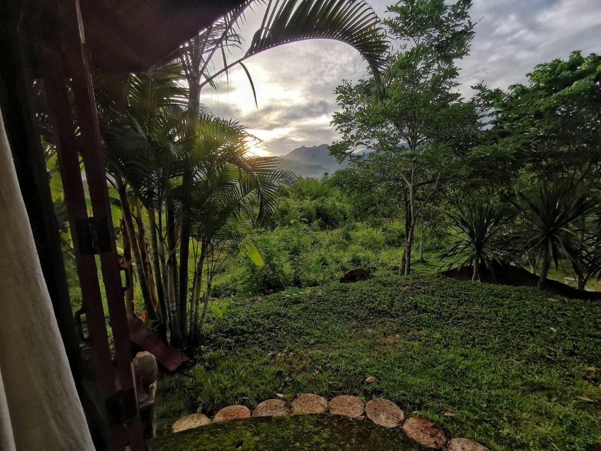 The Lookout Pai Hotel Luaran gambar