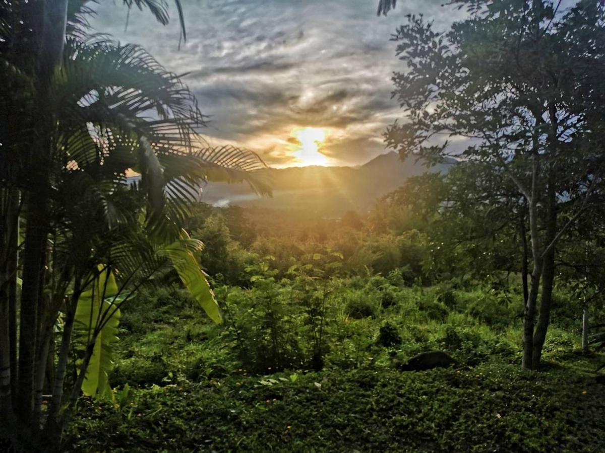 The Lookout Pai Hotel Luaran gambar