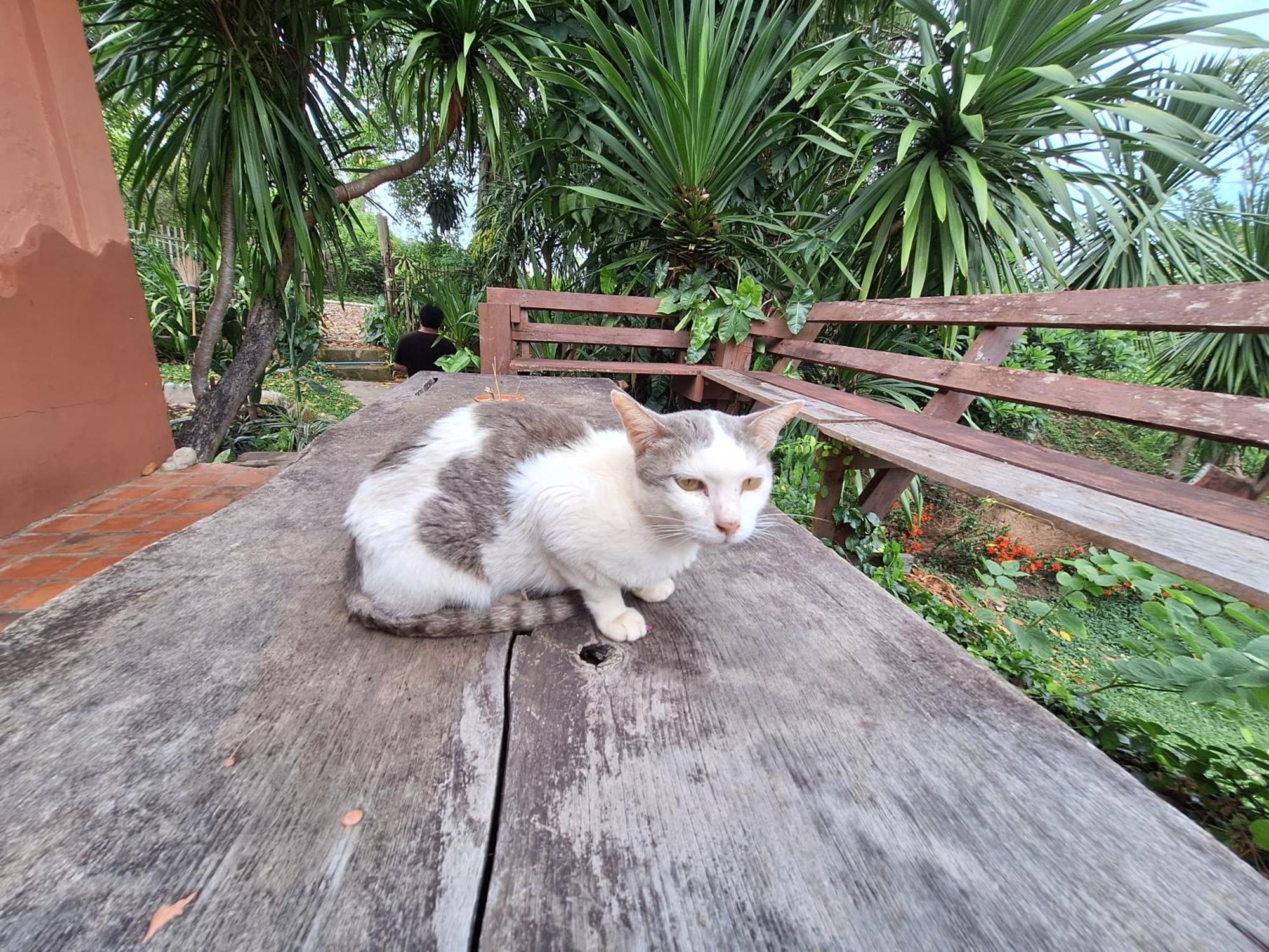 The Lookout Pai Hotel Luaran gambar